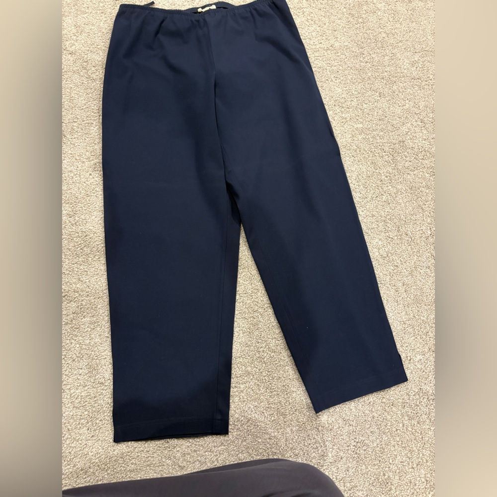 Eileen Fisher  Deep Blue Dress Pants - Picture 3 of 13